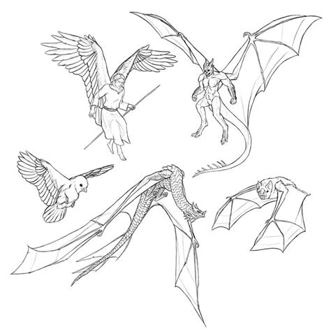 Sketchbook Original How To Draw Dragons Monika Zagrobelna Wings