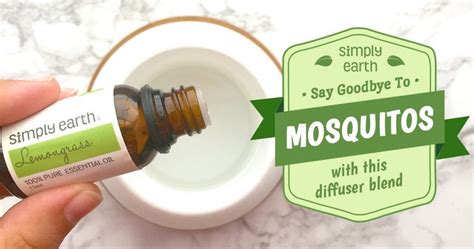 Natural Mosquito Repellent Diffuser Blend Recipe Simply Earth Blog