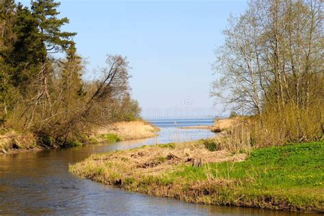 Selja River Stock Image Image Of Riverbanks Estonia 30990599