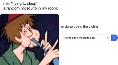 World Mosquito Day 2020 Funny Memes And Jokes About These Stinging Insects That Make Everyone