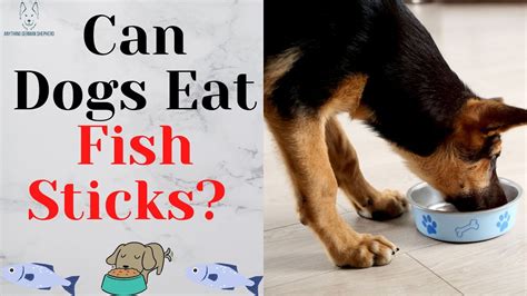 Can Dogs Eat Fish How About Fish Sticks Youtube