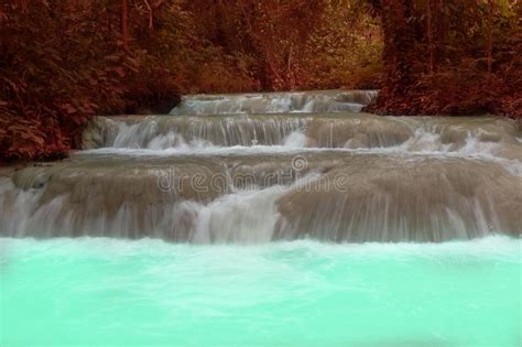 Waterfall In Rainforest Cascade In Forest Stock Image Image Of