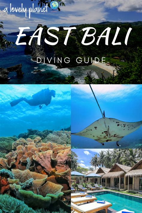 East Bali Diving Guide Bali Travel Bali Asia Travel