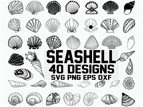 Seashell Svg Shell Svg Seashell Clipart Clam Svg Scallop Etsy