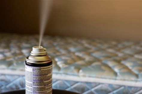 Does Lysol Kill Bed Bugs Bed Bug Cleveland Ohio Bed Bug Exterminators