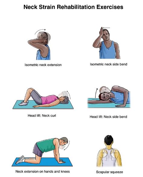 Exclusive Physiotherapy Guide For Physiotherapists Isometric Neck Exercise