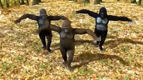 Monkey Dance Funny Dance YouTube