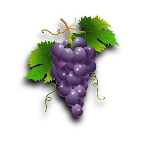Grapes clipart grape soda, Grapes grape soda Transparent ...