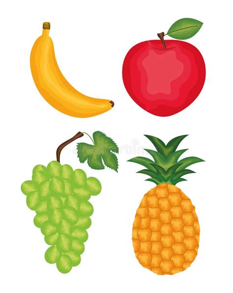 Mix Fruits And Tropical Fruits Collection Line Art Vector Illus Stock