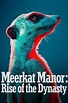 Meerkat Manor: Rise of the Dynasty (2021)