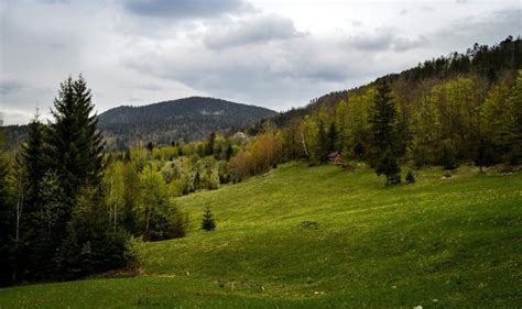 Nacionalni Parkovi Srbije 5 Srpskih Oaza Prirode Putuj Sigurno