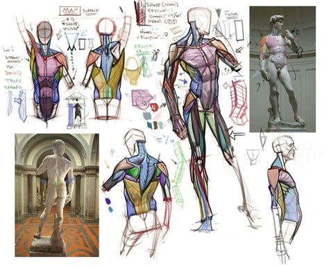 References Dibujos con figuras Anatomía artística Tutorial de anatomía