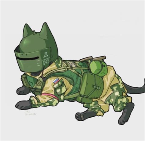 Cat Operators Rainbow Six Siege Amino