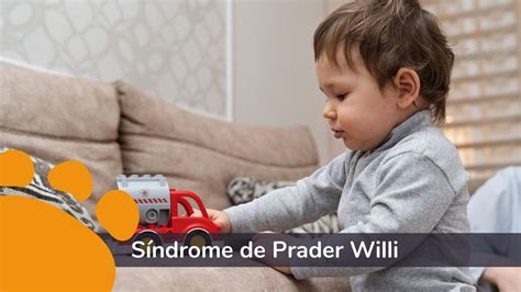 Síndrome De Prader Willi Fundación Anda Conmigo Terapias Infantiles