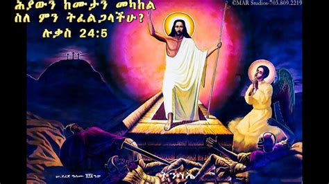 ሕያውን ከሙታን መካከል ስለ ምን ትፈልጋላችሁ Ethiopian Orthodox Tewahedo sebket by