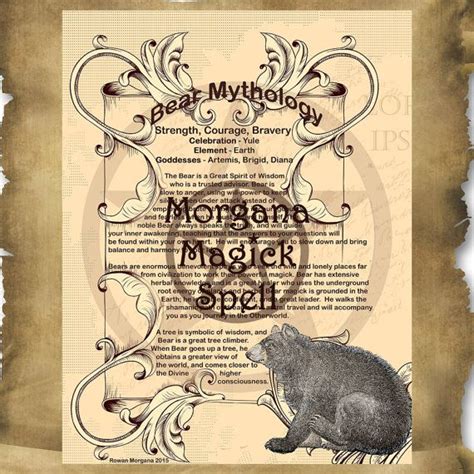 Bear Magick Myths And Correspondences Bear Spell Magick Etsy Book Of