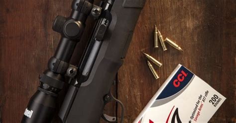 Savage Arms Introduces The A17 Semiautomatic Rifle In 17 Hmr Outdoorhub