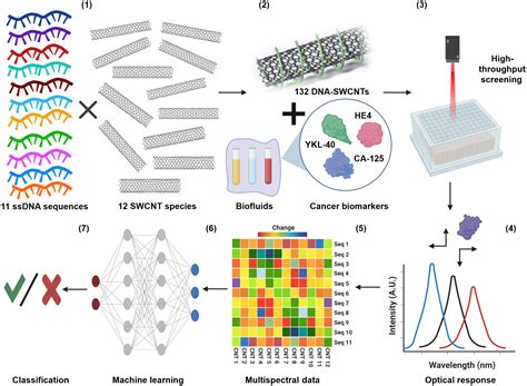 A Perception Based Nanosensor Platform To Detect Cancer Biomarkers