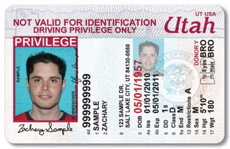 California Drivers License Restriction 41 Anyyellow