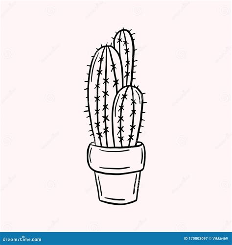 Cactus Simple Vector Doodle Style Drawing Linear Illustration Stock