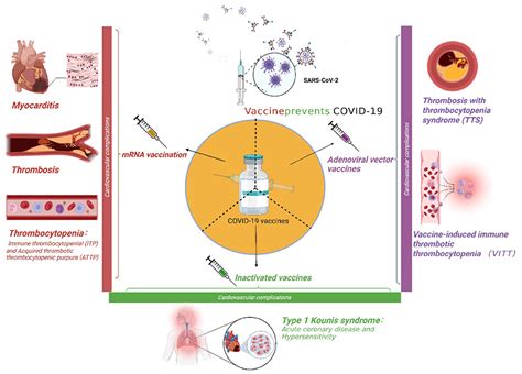 Frontiers Cardiovascular Complications Of Covid 19 Vaccines