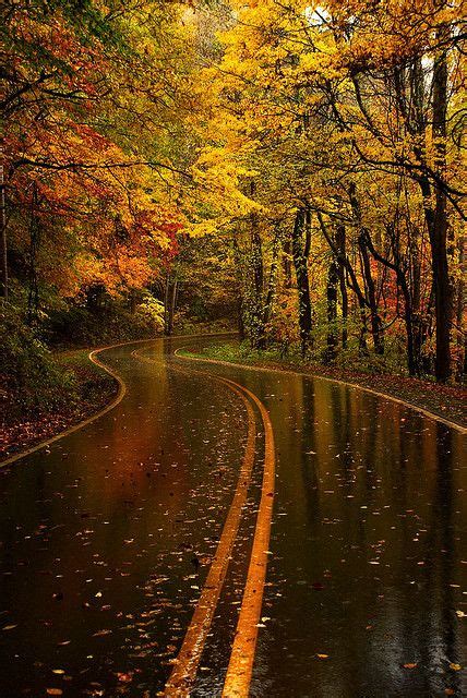 Great Smoky Mountains National Park North Carolinaone Day I Will