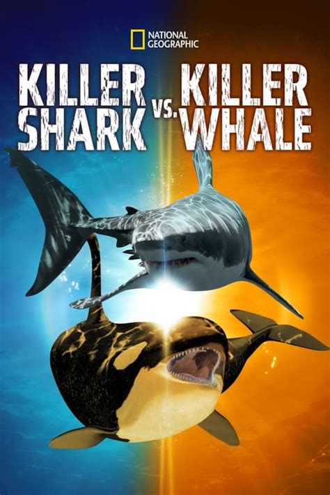 Hur Du Kan Se Killer Shark Vs Killer Whale 2021 Streaming Online