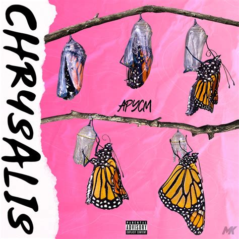 Ap Ycm “chrysalis” Album Review