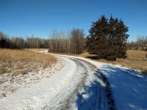 Winter Hiking Rice Creek North Regional Trail Twin Cities Outdoors