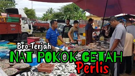 Check 'getah' translations into english. MISI MENERJAH NAT POKOK GETAH | NAT PALING POPULAR DI ...