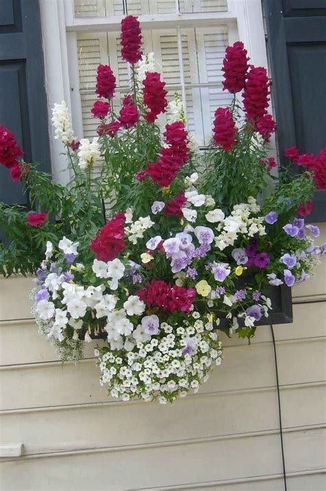 Its colors are usually red, yellow, pink. 85 Beautiful Summer Container Garden Flowers Ideas (With ...