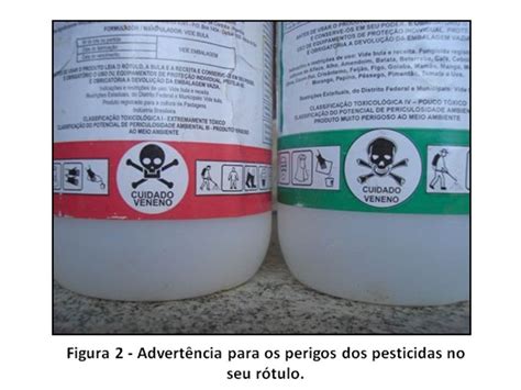 Pesticidas São Substâncias Utilizadas Para Promover O Controle De Pragas