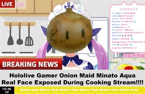 Onion Gamer Maid Real Face Exposed Scrolller