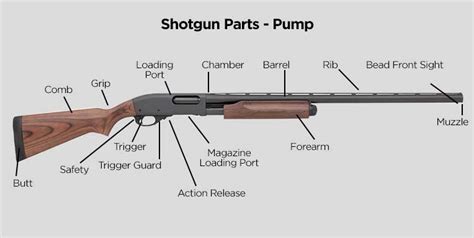 Pump Action Shotgun Diagram