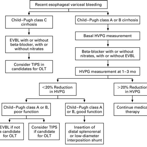 Suggested Algorithm For Primary Prophylaxis Of Variceal Bleeding In