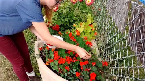 Visit the regional district of central kootenay recreation. Food Bank Harvest 2016 - YouTube