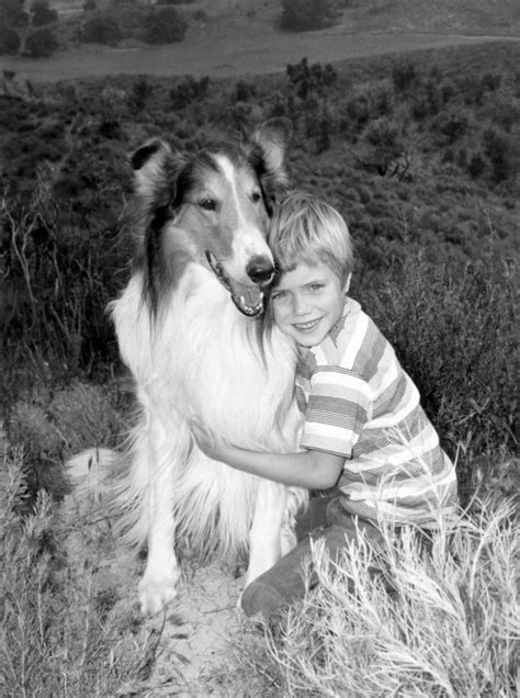 134 Best Timmy And Lassie Images On Pinterest Tv Series Vintage Tv And Rough Collie