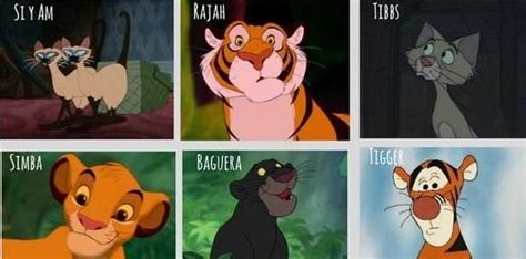Disney Names For Cats OVER 30 The Most FAMOUS Cats Disney Cat
