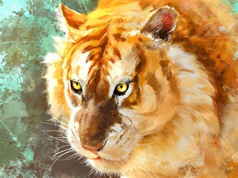 Golden Tiger Wallpapers Top Những Hình Ảnh Đẹp
