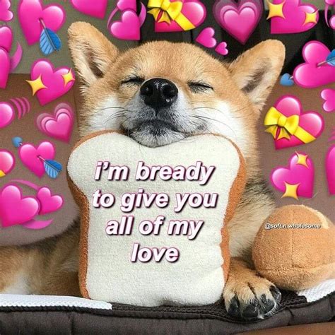 30 Wholesome Memes For Anyone Having A Bad Day Or In Need Of Love