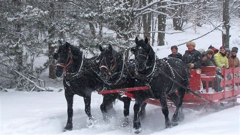 One Horse Open Sleigh You Can Do That In Michigan