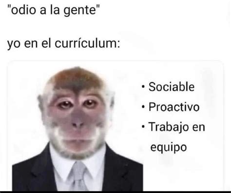 Top Memes De Curriculum En Español Memedroid