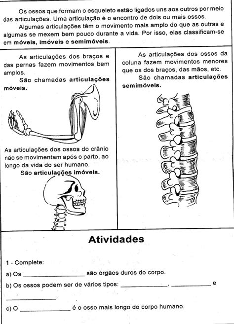 Atividades De Ci Ncias Sobre Ossos Para Imprimir Online Cursos