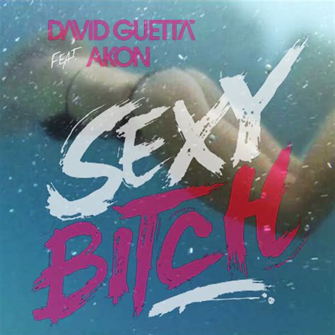 David Guetta And Akon Sexy Bitch Damngirl All Rights Go Flickr