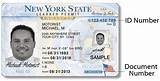 How To Get Your Driver''s License In Ny Pictures