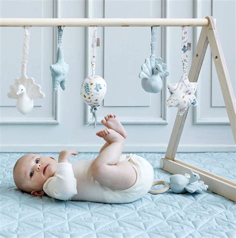 Choosing A Modern Stylish Baby Play Gym Petit And Small