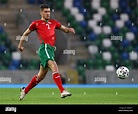 Bulgaria's Petko Hristov during the 2022 FIFA World Cup Qualifying ...