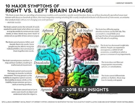 Handout 10 Major Symptoms Of Left Vs Right Brain Damage Brain