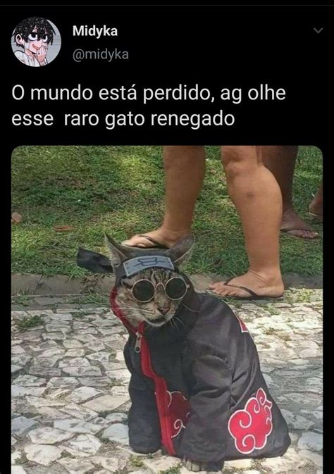 Gato Akatsuki Memes engraçados naruto Naruto meme Memes engraçados