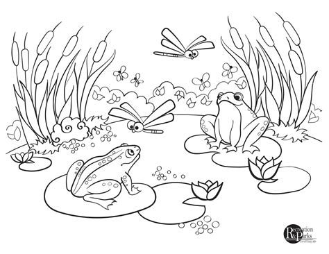 Pond Coloring Pages Printable Sketch Coloring Page